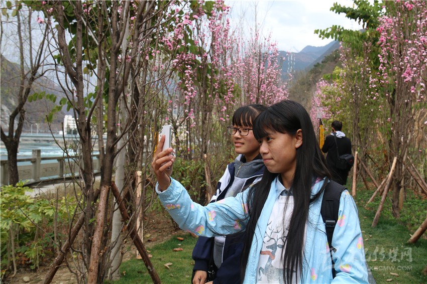 春光俏！“醉”是瀘定春三月，踏青賞花正當(dāng)時(shí)