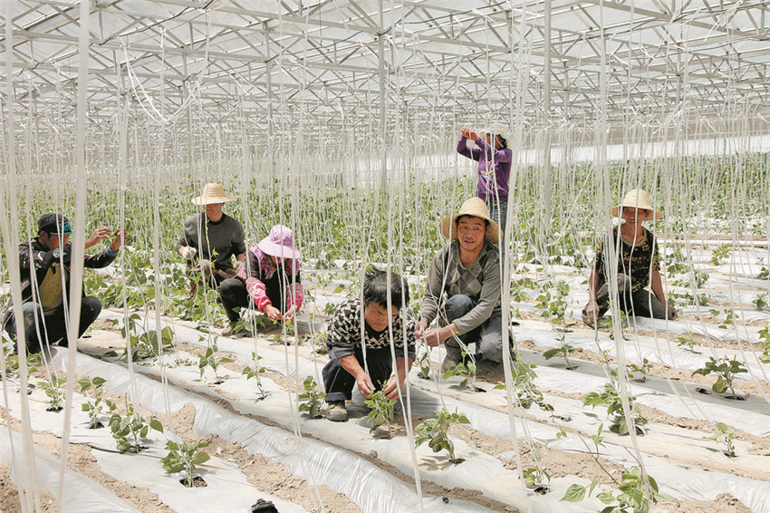 路通百業(yè).jpg 路通百業(yè).jpg