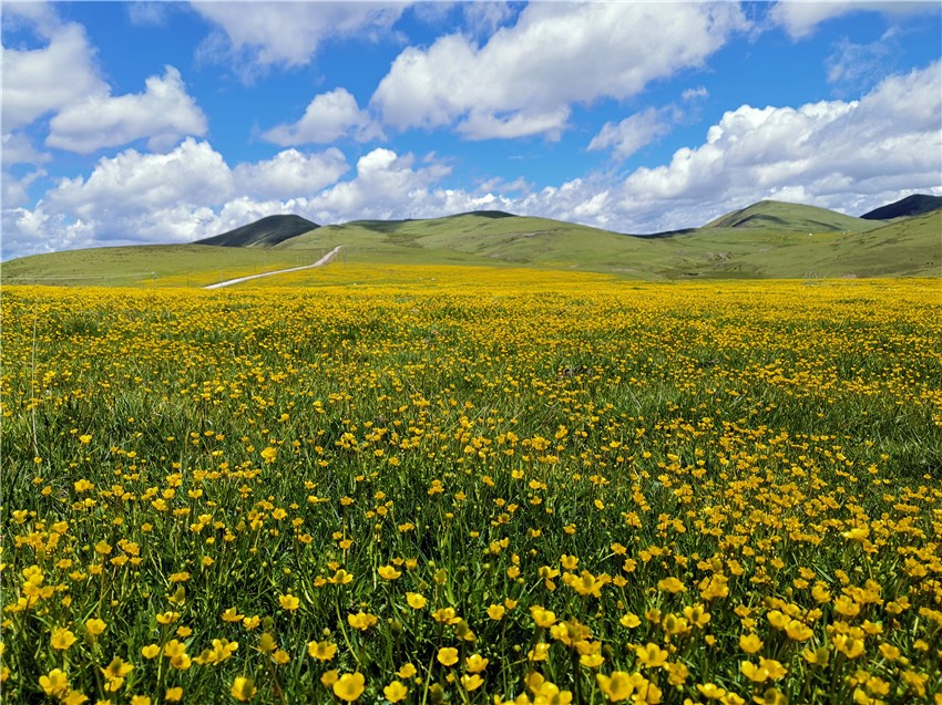 祝?；ê? 任剛.jpg