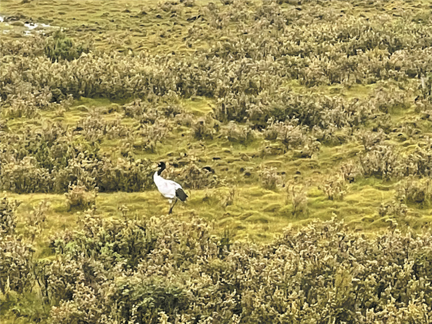 圖為拍攝.jpg 圖為拍攝.jpg