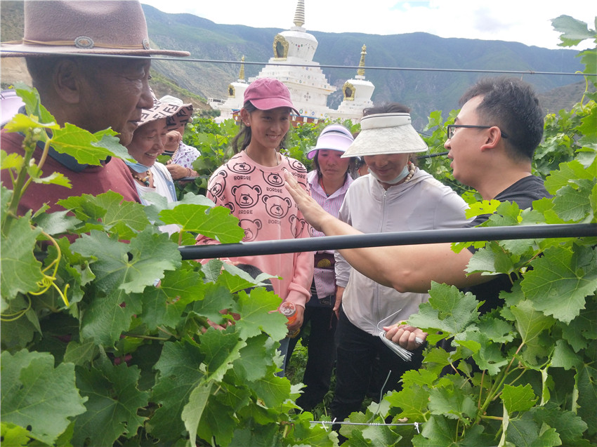 農(nóng)技專家在.jpg 農(nóng)技專家在.jpg