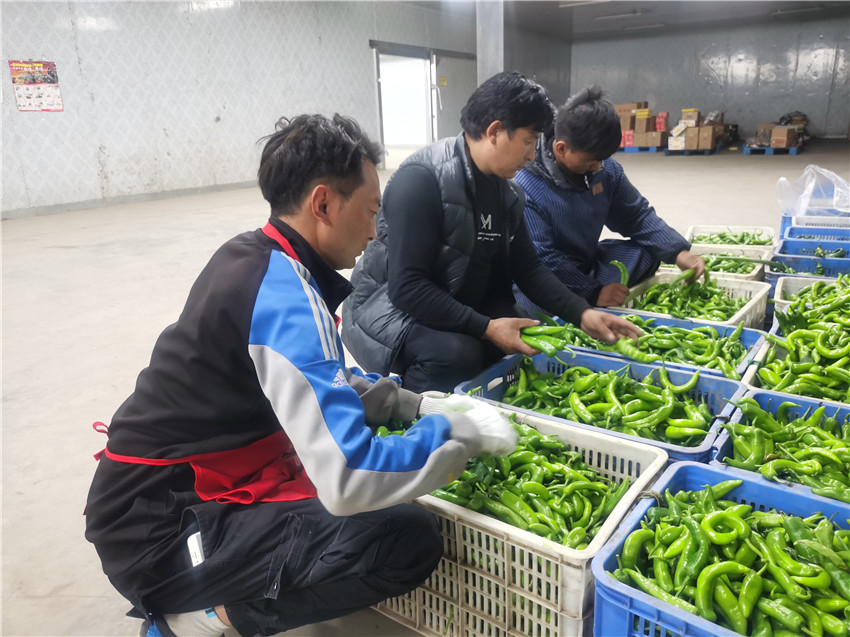 工人們正在.jpg 工人們正在.jpg