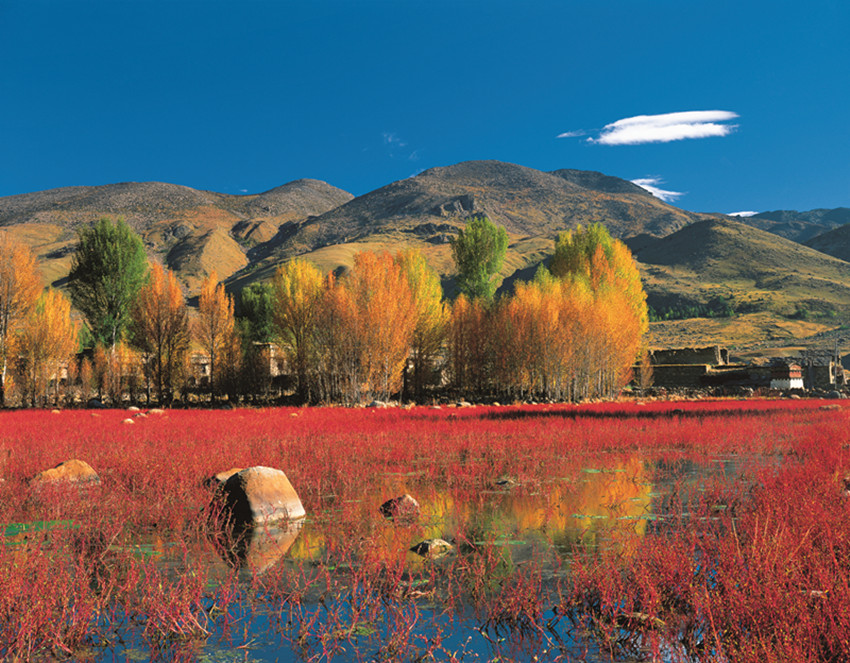 到甘孜，探秘秋冬美妙吧！