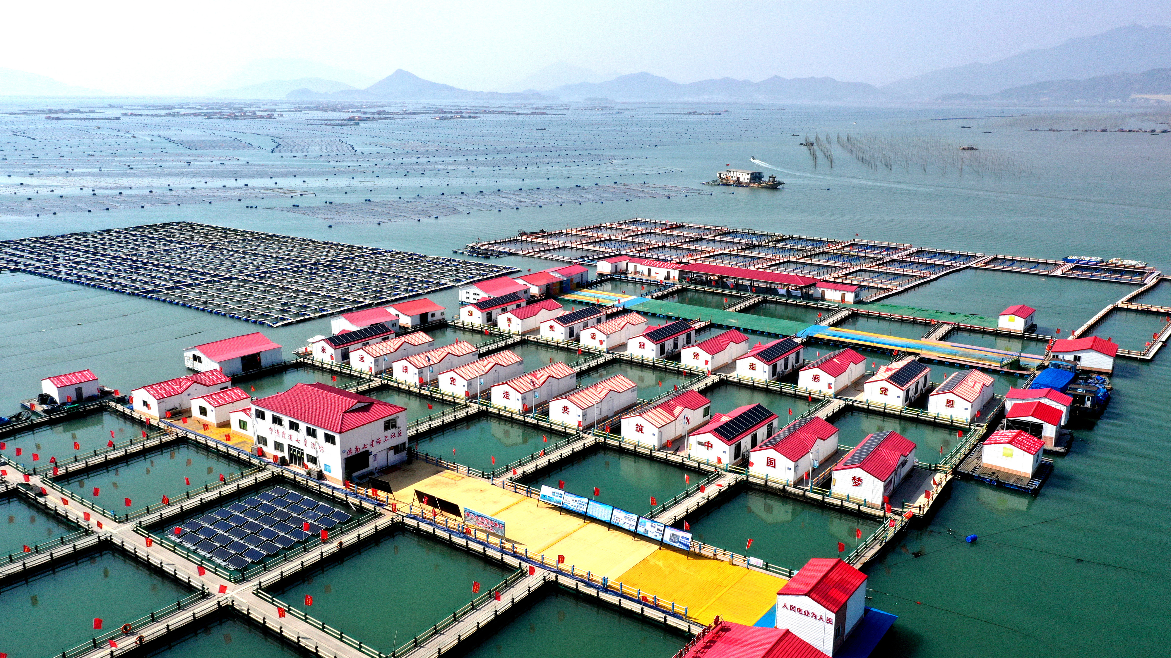 2024年3月20日，福建省寧德市，霞浦縣溪南鎮(zhèn)七星村漁排養(yǎng)殖示范區(qū)，漁民駕駛養(yǎng)殖船進(jìn)行海參養(yǎng)殖作業(yè)。