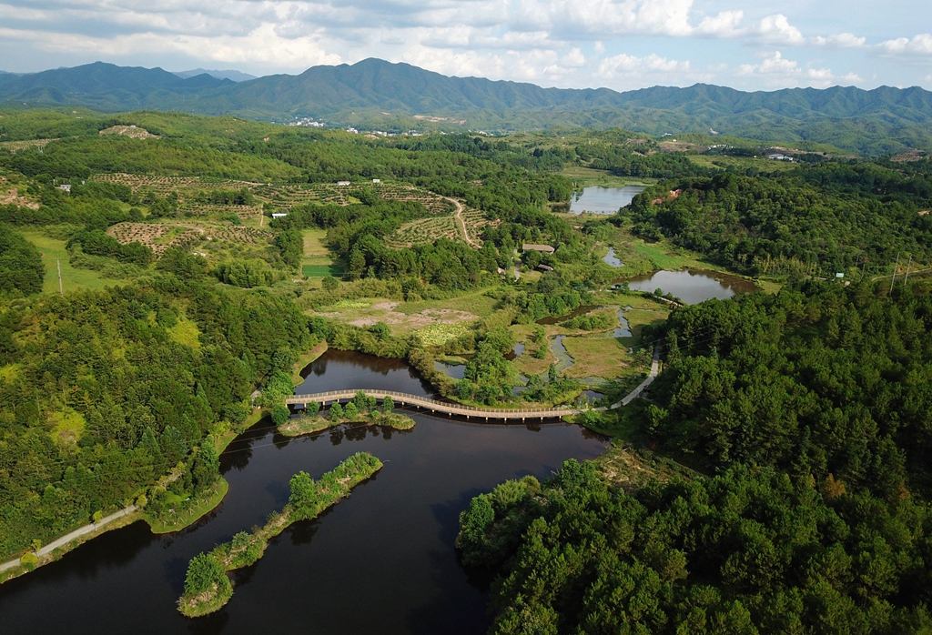 福建省龍巖市長(zhǎng)汀縣的長(zhǎng)汀汀江國(guó)家濕地公園景色（2020年7月28日攝，無(wú)人機(jī)照片）。新華社記者 魏培全 攝